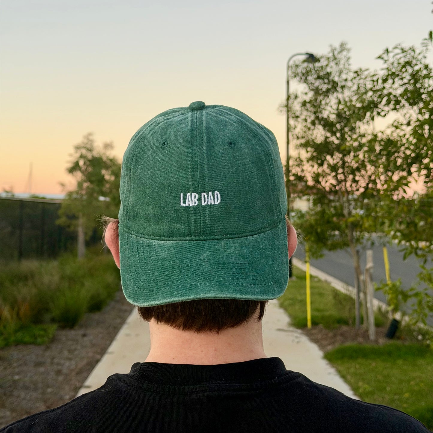 LAB DAD CAP