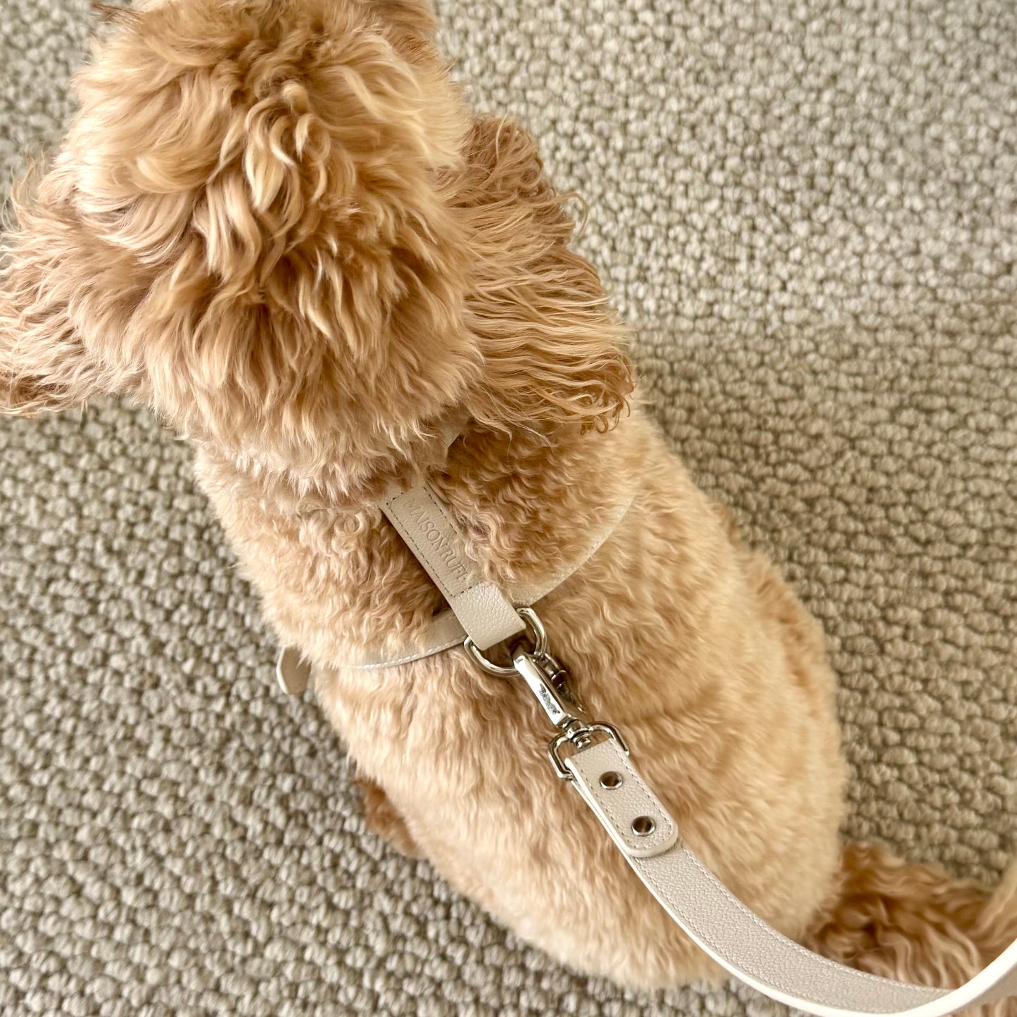LEATHER HARNESS