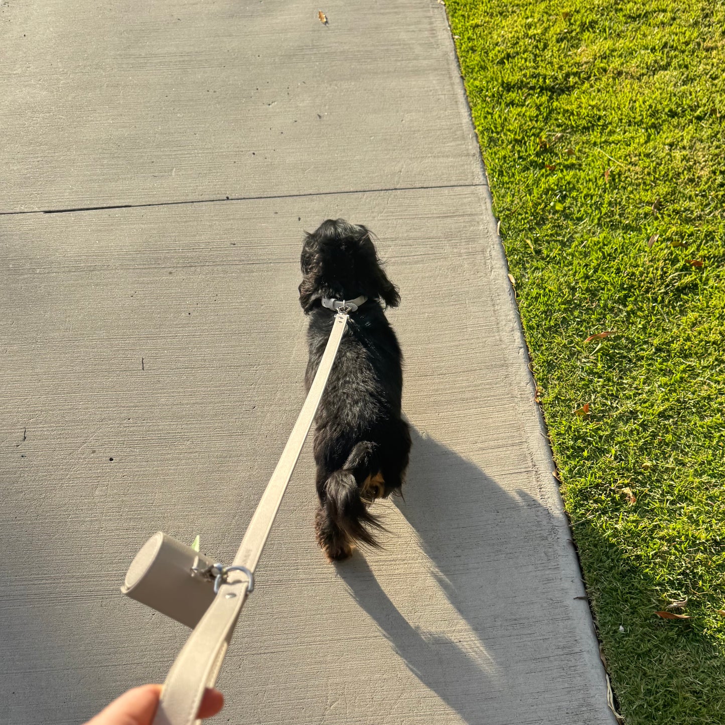 THE COLLAR WALK SET