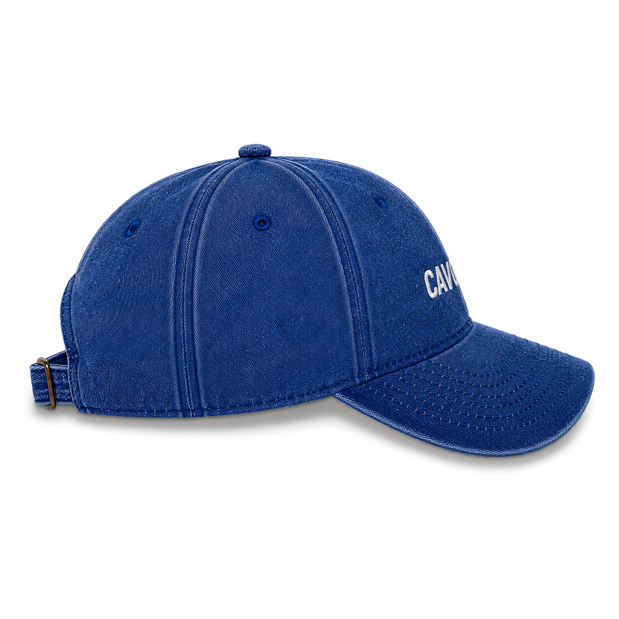 CAVOODLE DAD CAP