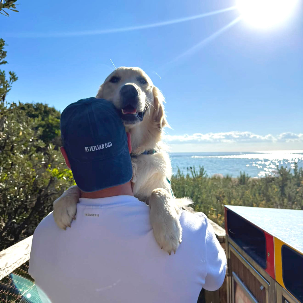 RETRIEVER DAD CAP