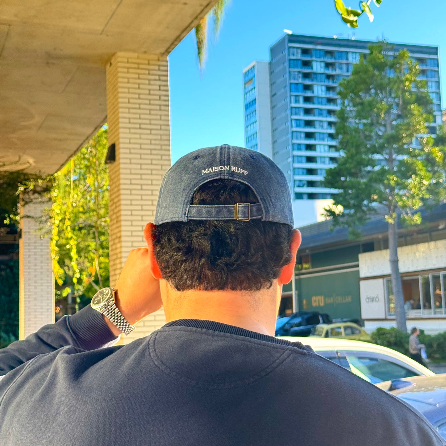DOG PERSON CAP
