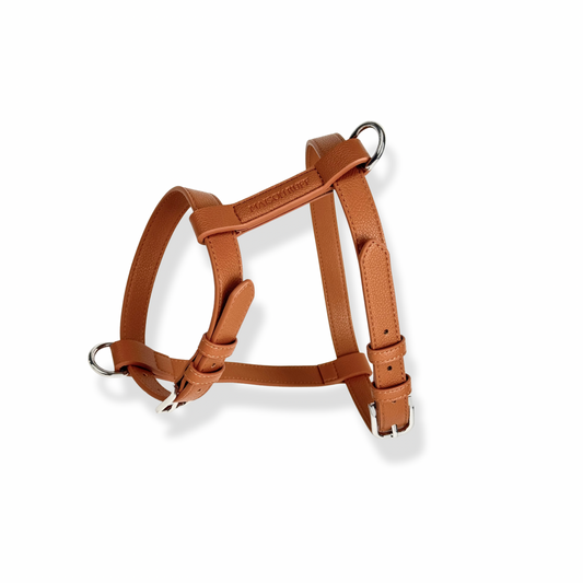 LEATHER HARNESS
