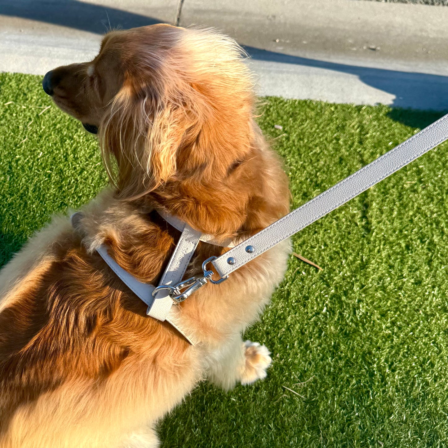 LEATHER LEAD