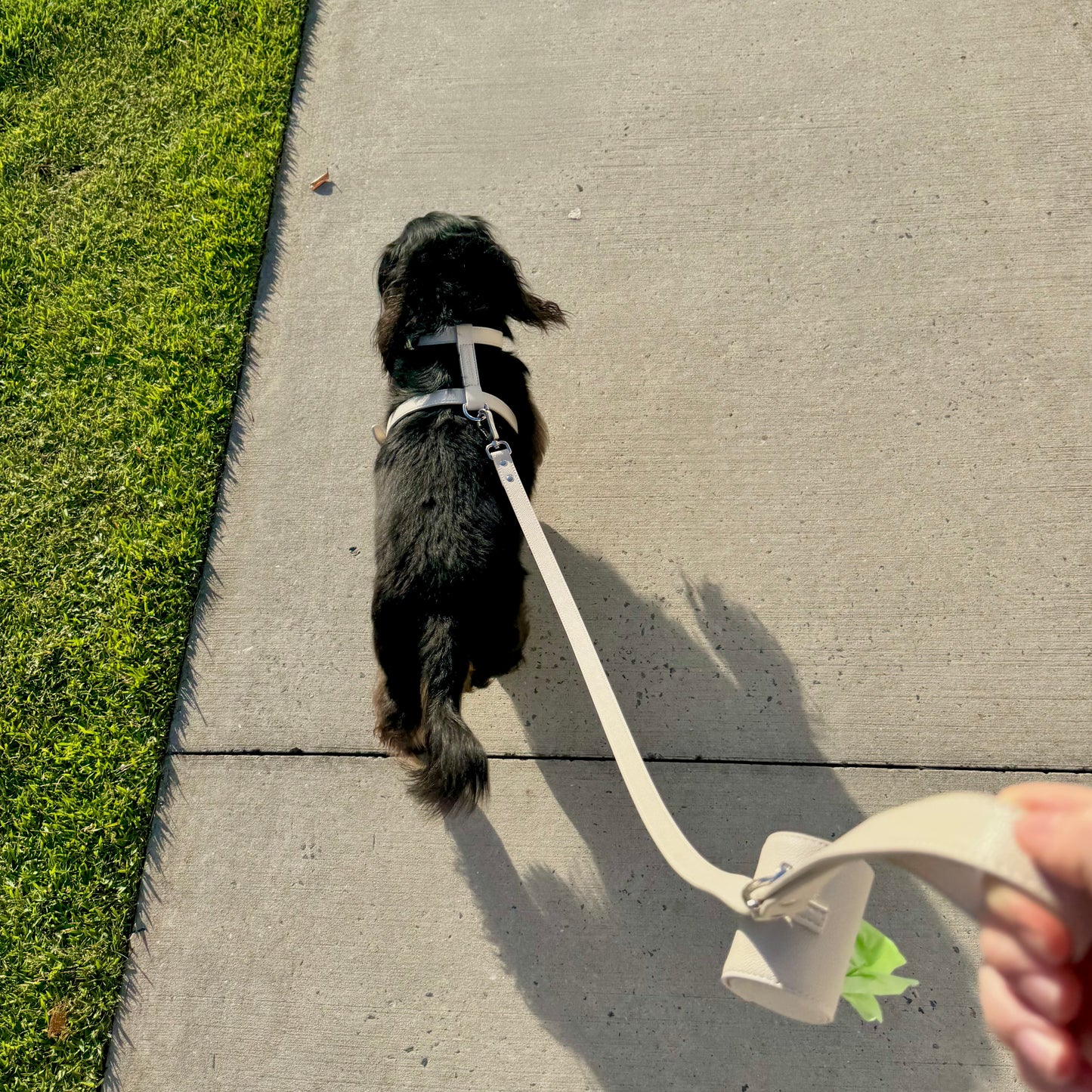 THE HARNESS WALK SET