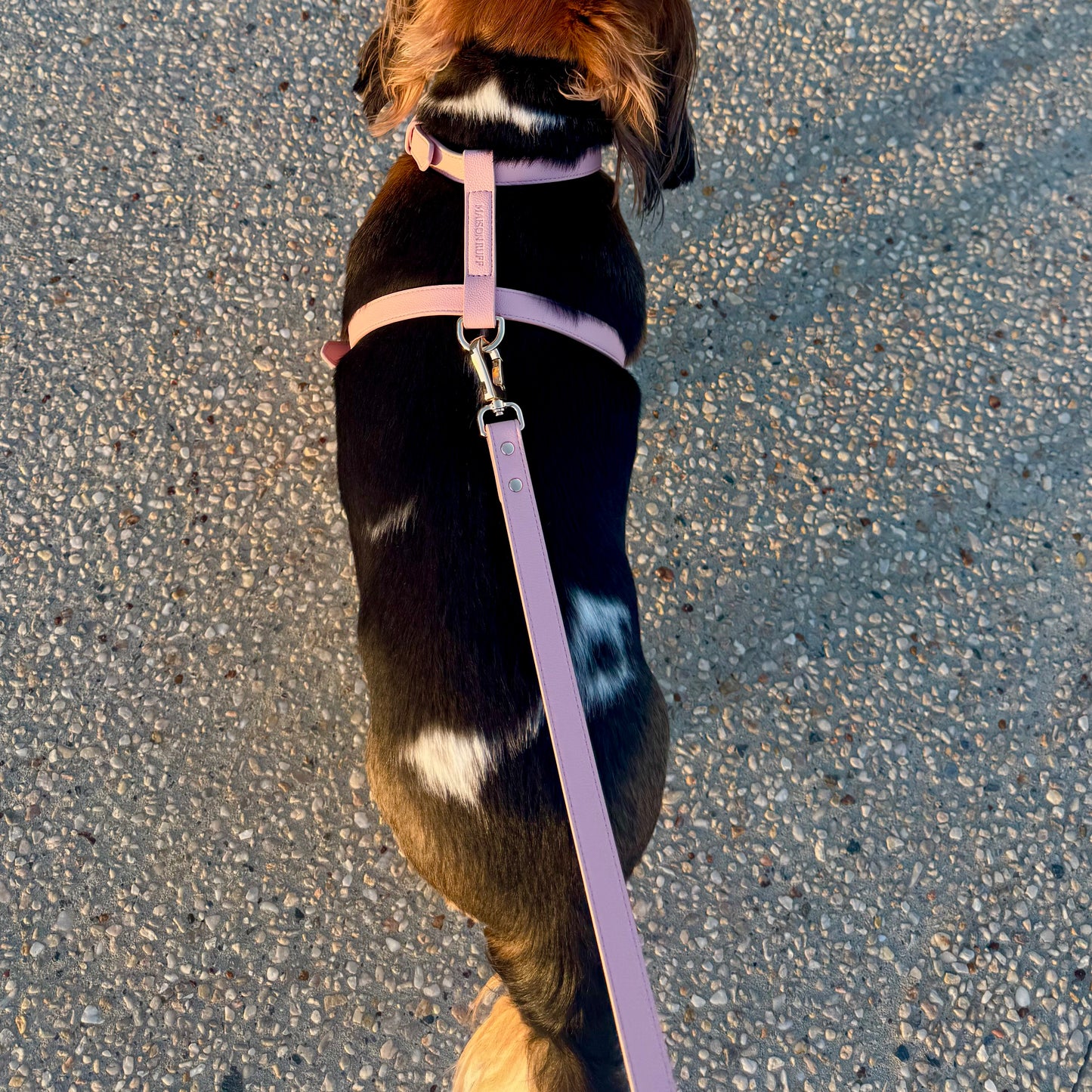 LEATHER LEAD