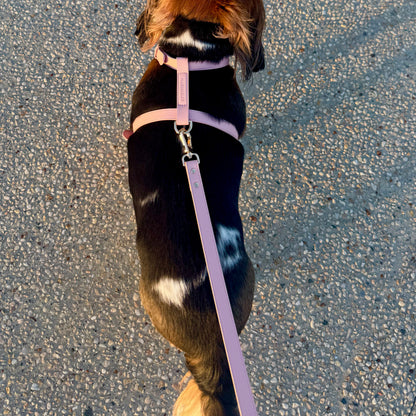 LEATHER LEAD