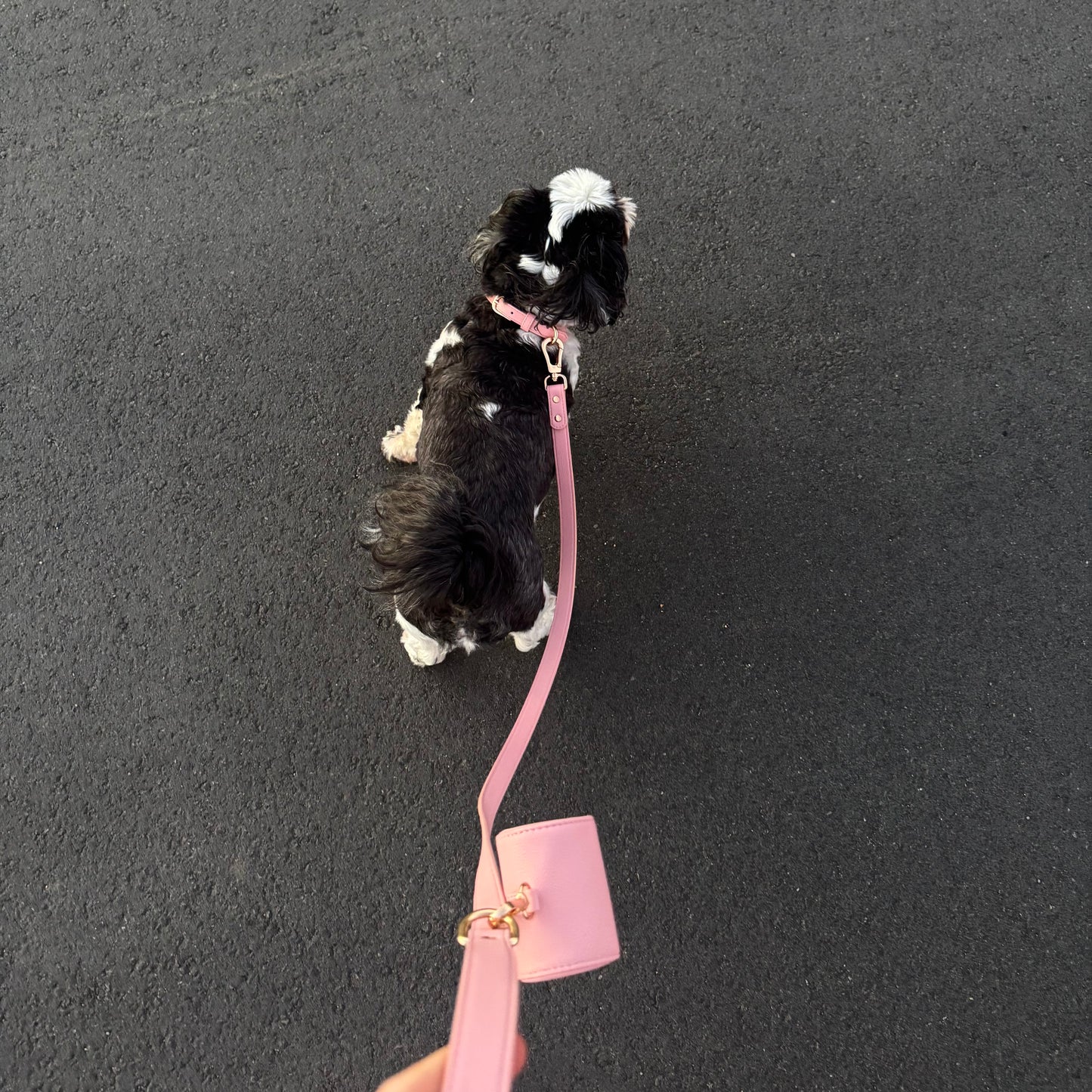 THE COLLAR WALK SET