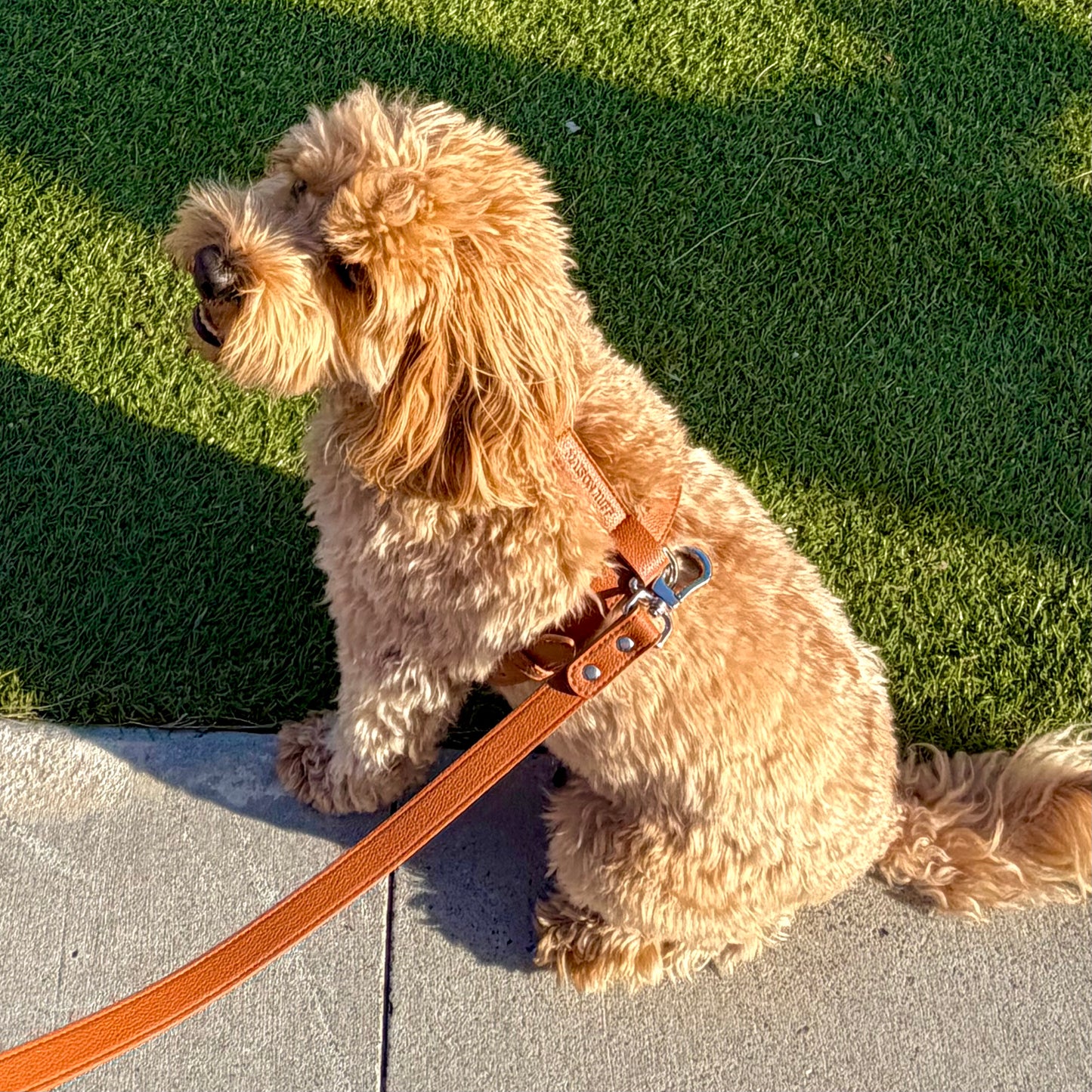 LEATHER LEAD