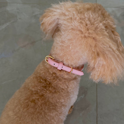 LEATHER COLLAR
