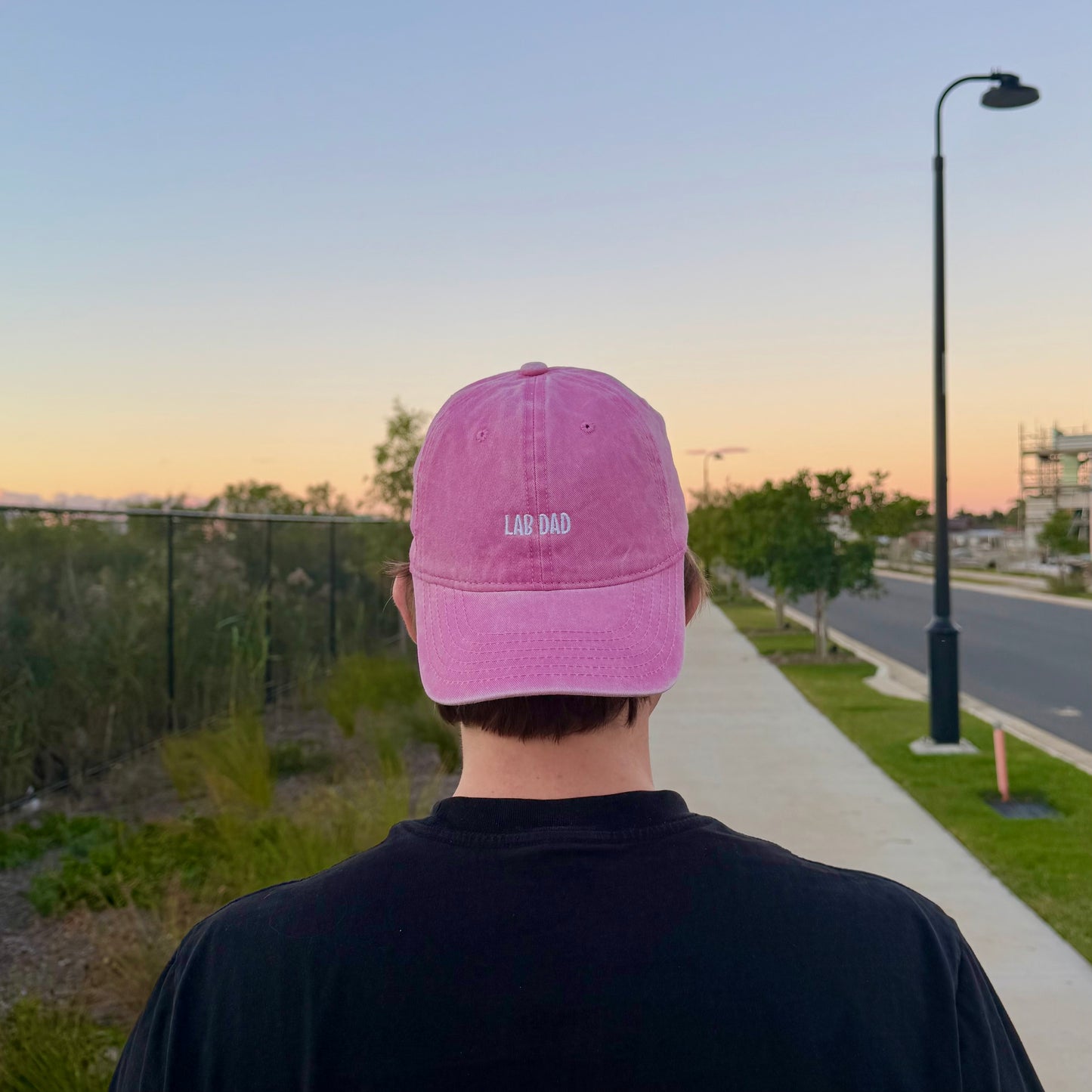 LAB DAD CAP