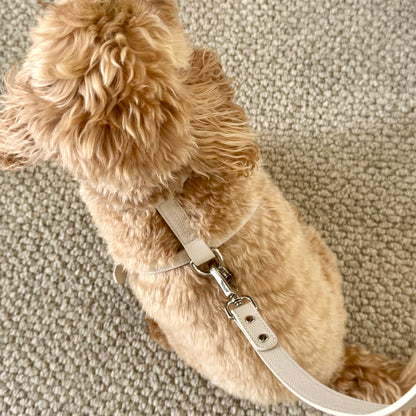 LEATHER HARNESS
