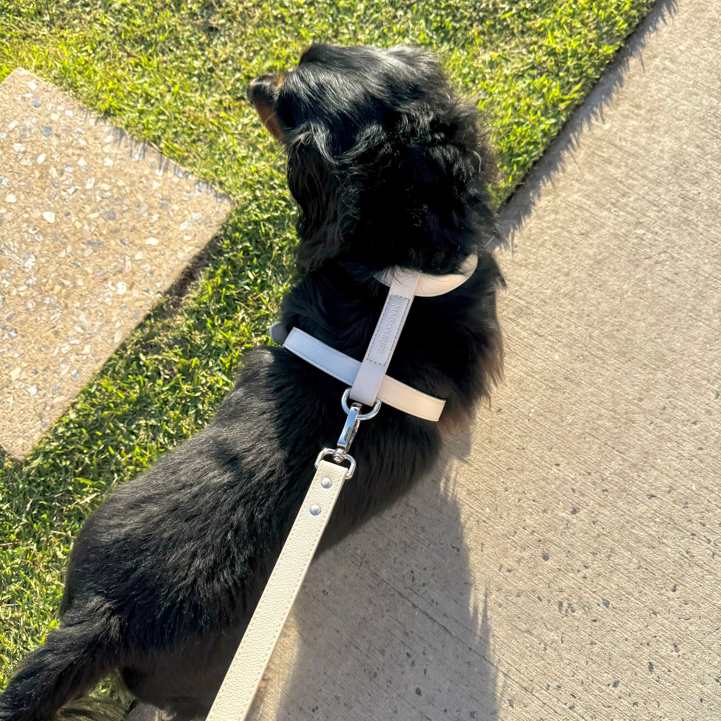 LEATHER HARNESS