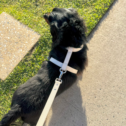 LEATHER HARNESS