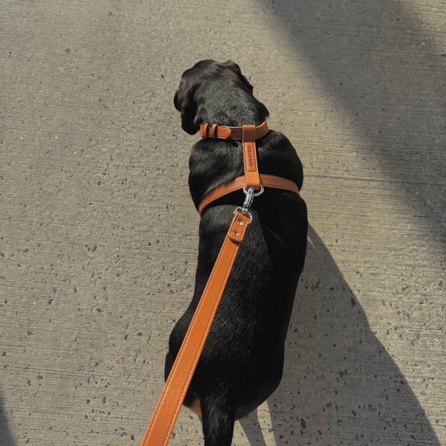 LEATHER HARNESS