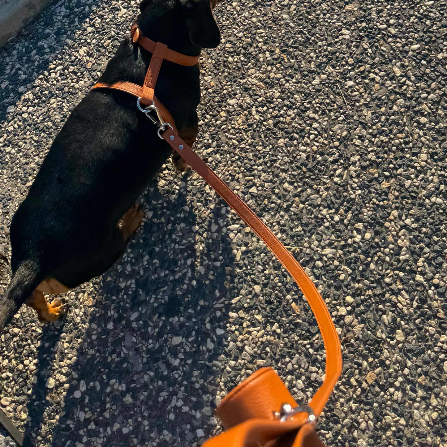 LEATHER LEAD