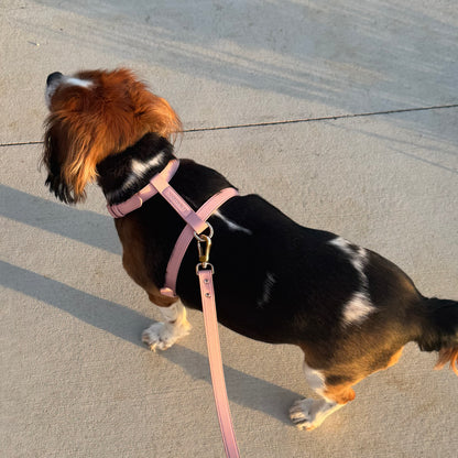 LEATHER HARNESS