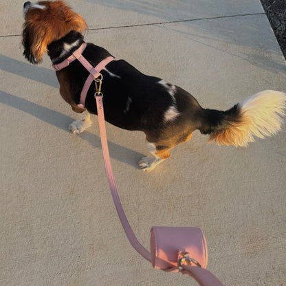 THE HARNESS WALK SET