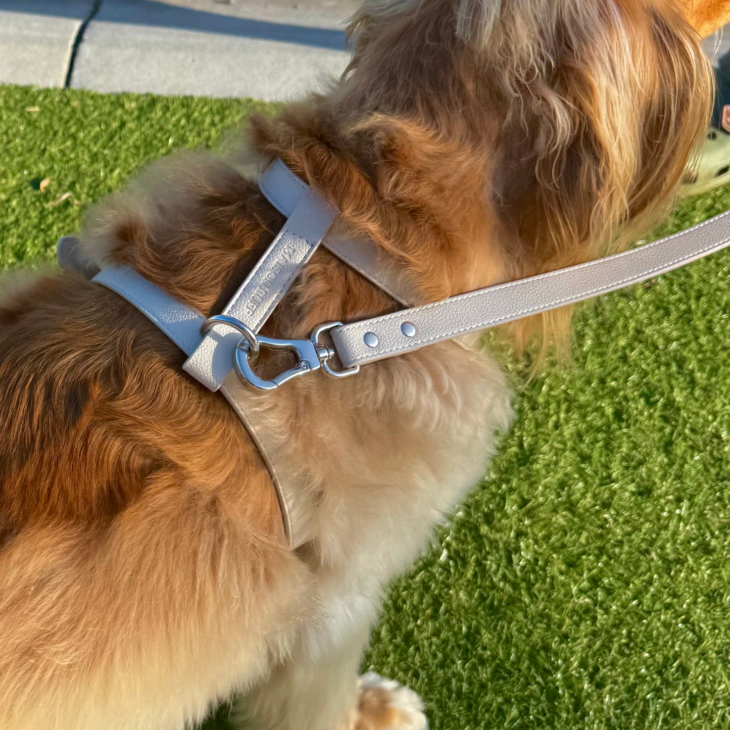LEATHER LEAD