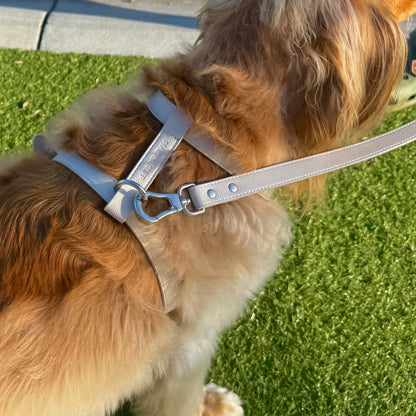 LEATHER LEAD