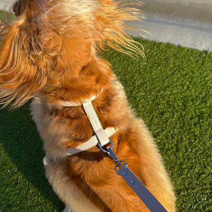 LEATHER HARNESS