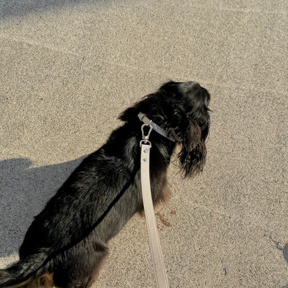 LEATHER LEAD