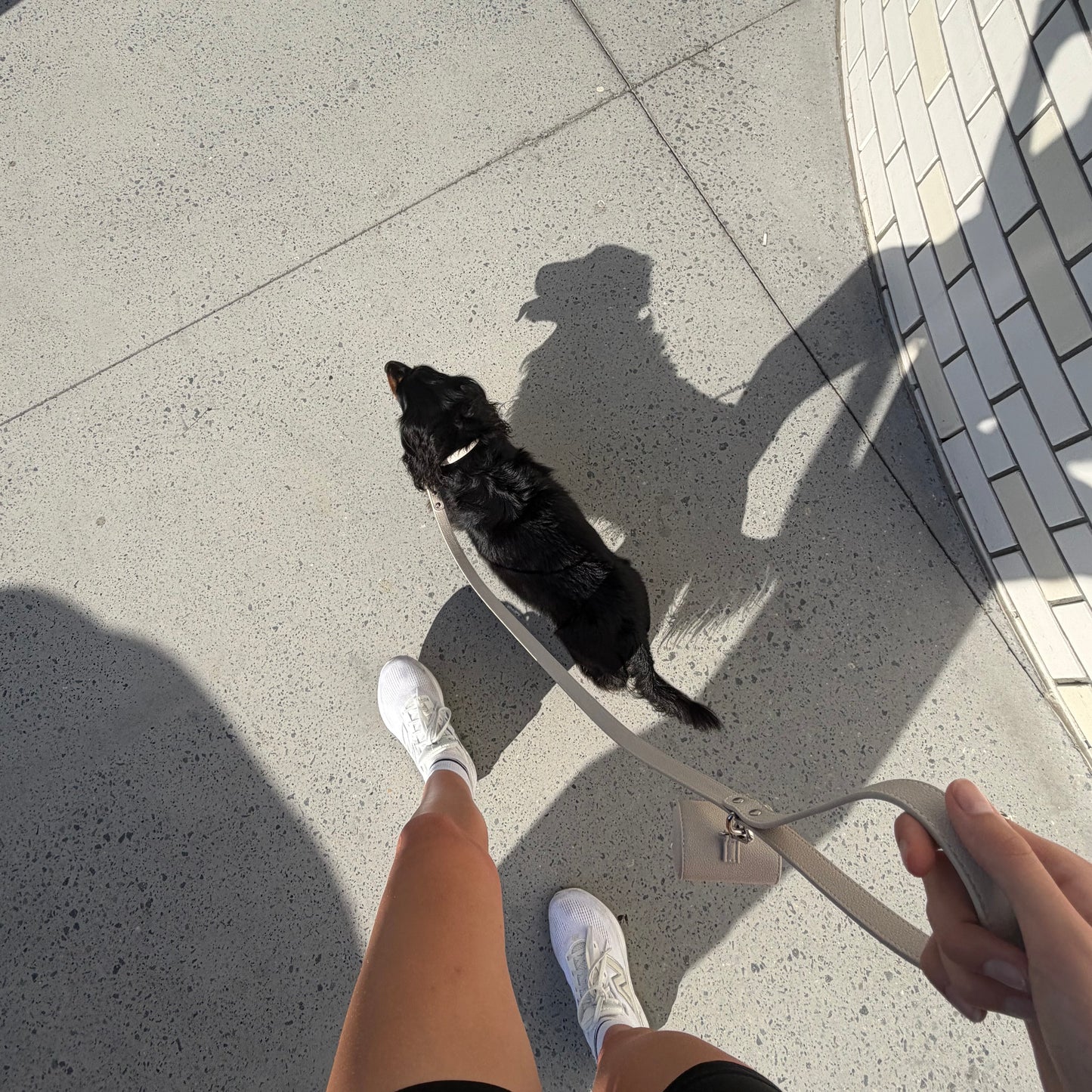 LEATHER LEAD