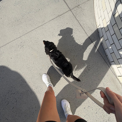 LEATHER LEAD