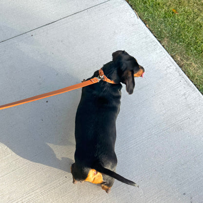 LEATHER LEAD
