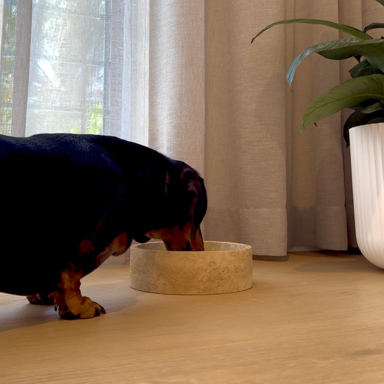 TRAVERTINE DOG BOWL