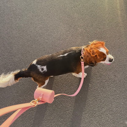 THE COLLAR WALK SET