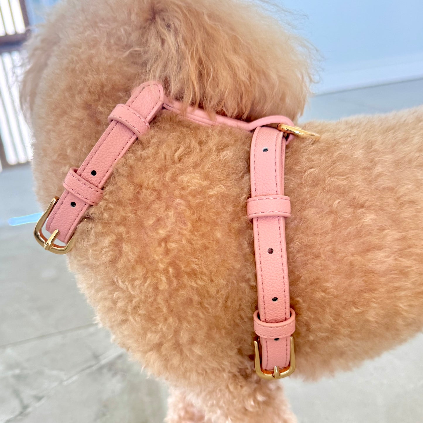 LEATHER HARNESS