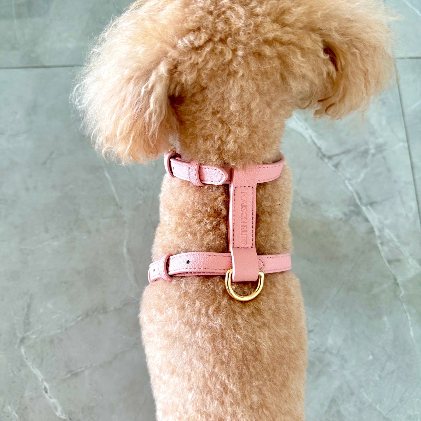 LEATHER HARNESS