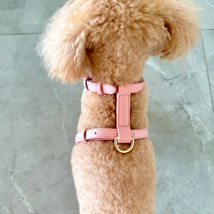 LEATHER HARNESS