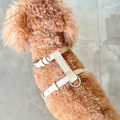 LEATHER HARNESS