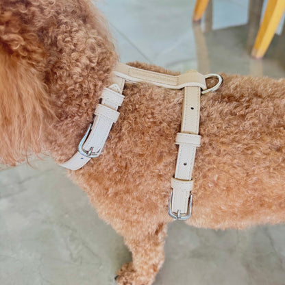 LEATHER HARNESS