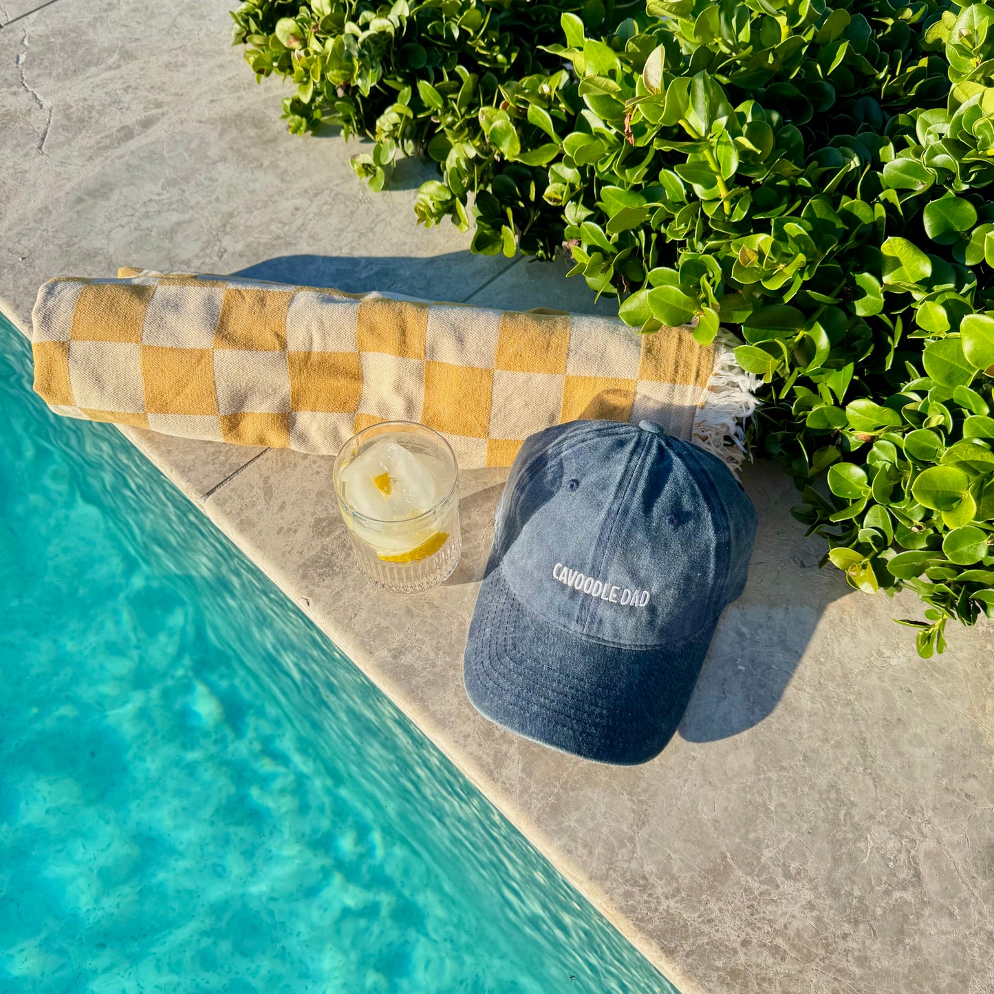 CAVOODLE DAD CAP