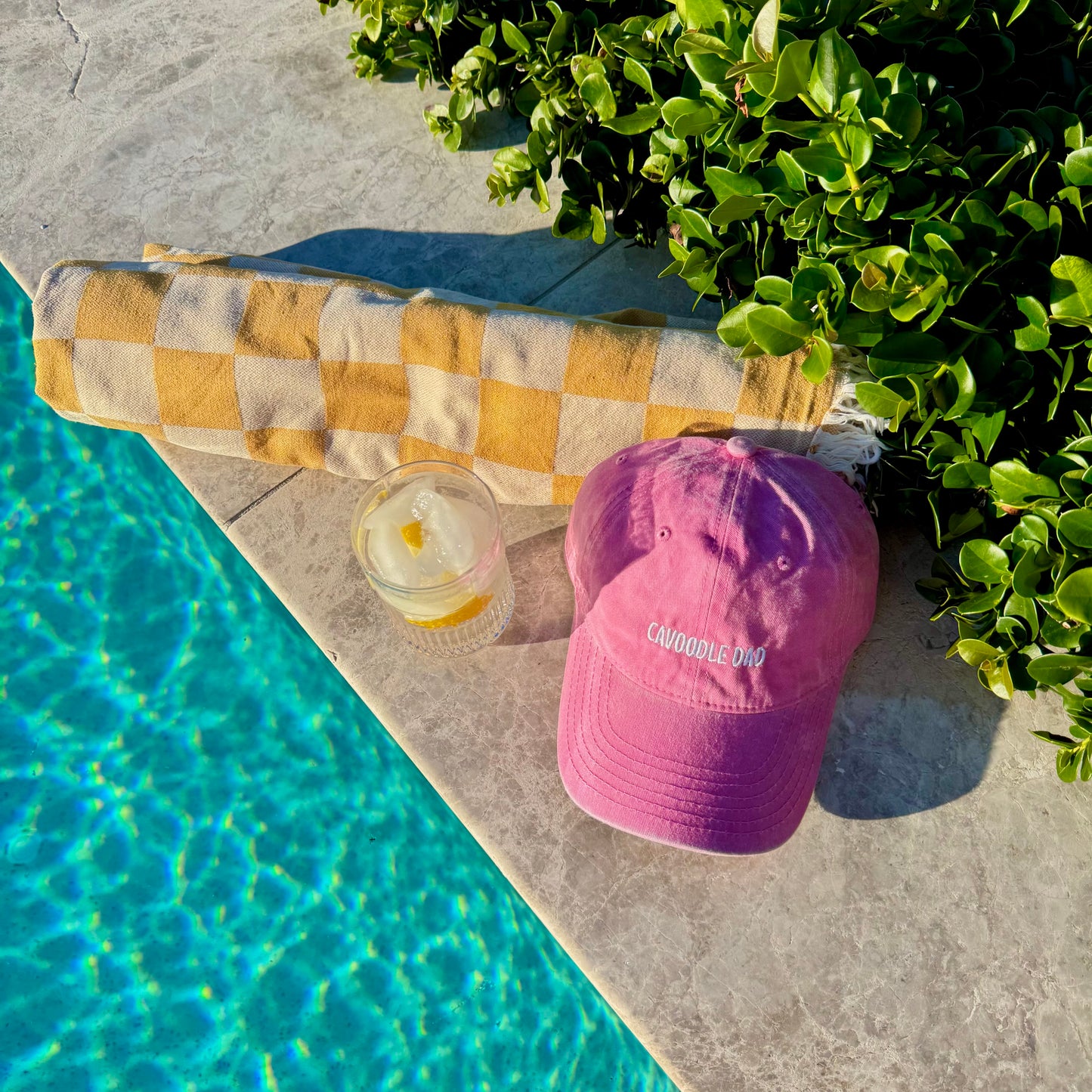 CAVOODLE DAD CAP