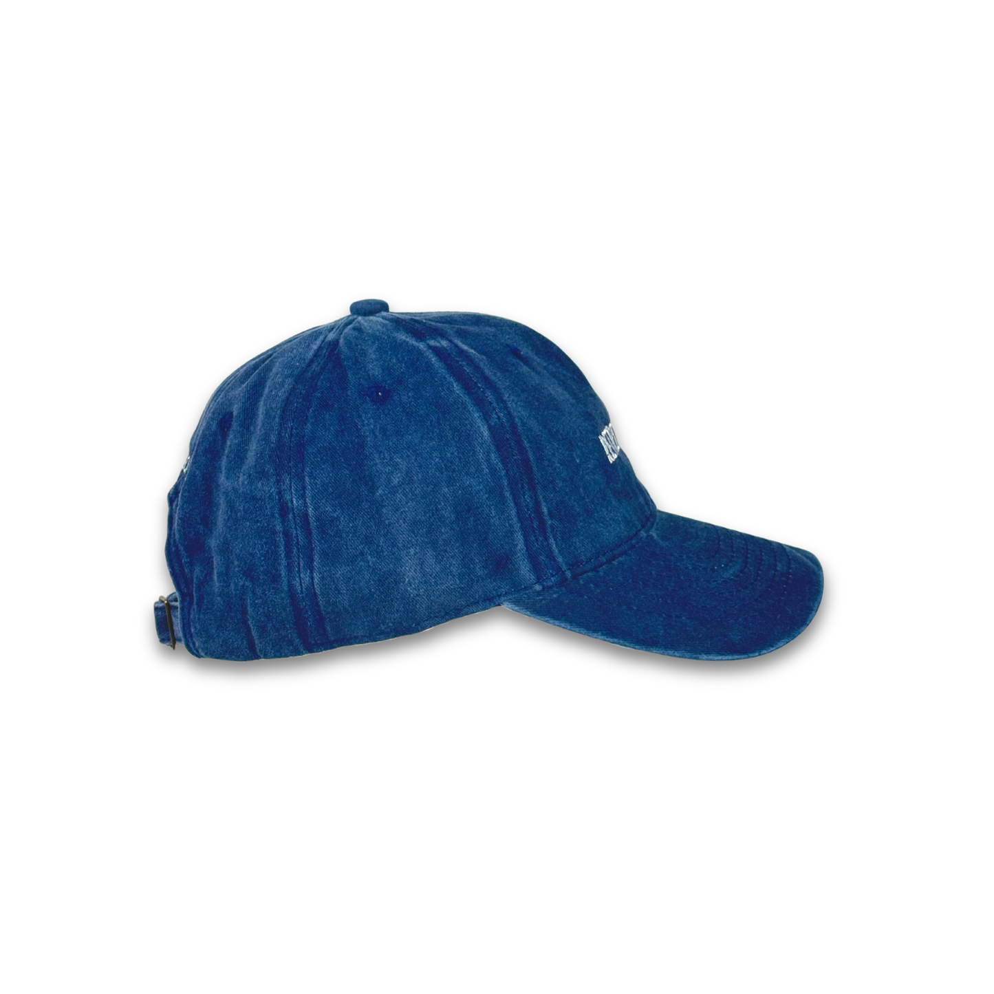 RETRIEVER DAD CAP
