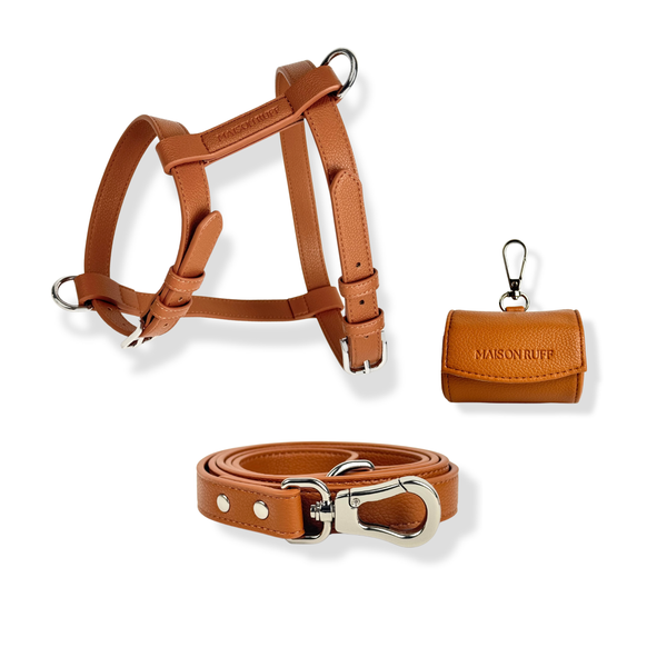 THE HARNESS WALK SET