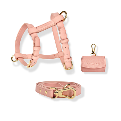 THE HARNESS WALK SET